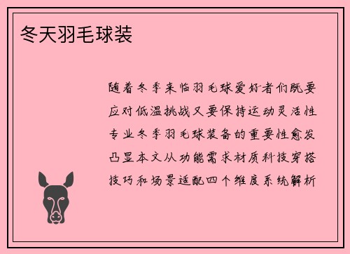 冬天羽毛球装